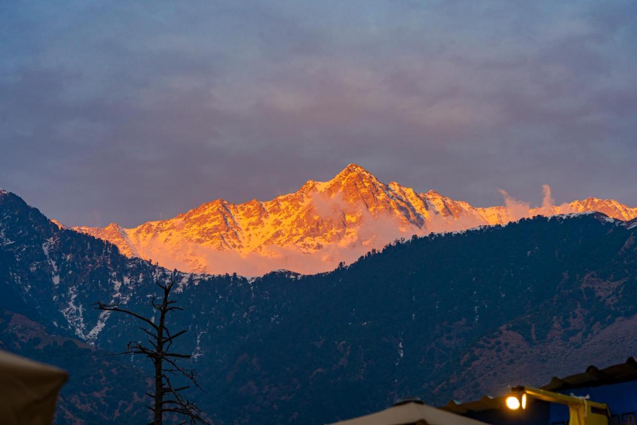 The Hosteller Mcleodganj, Mall Road McLeod Ganj Eksteriør bilde